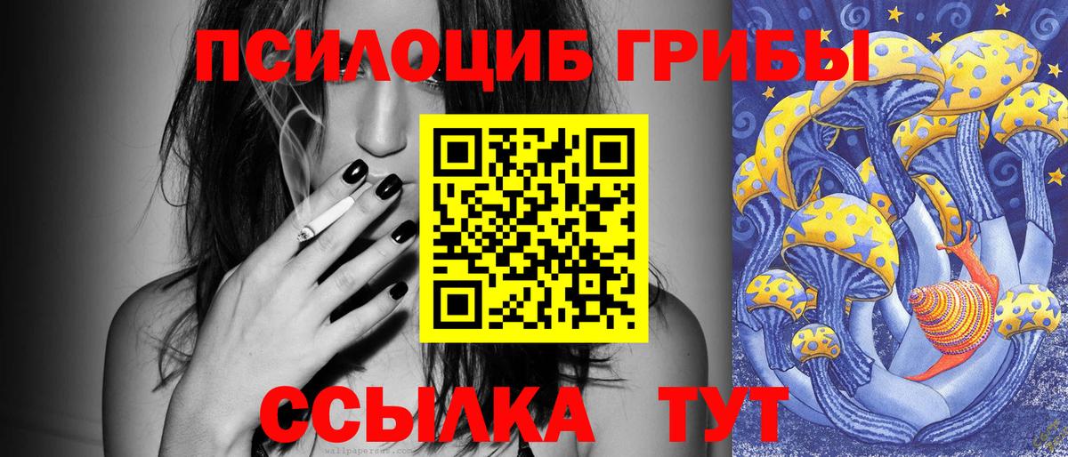 Галлюциногенные грибы Magic Shrooms  Галлюциногенные грибы прущие грибы  Вход с VPN  Мурино 